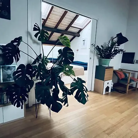 Apartment Loft