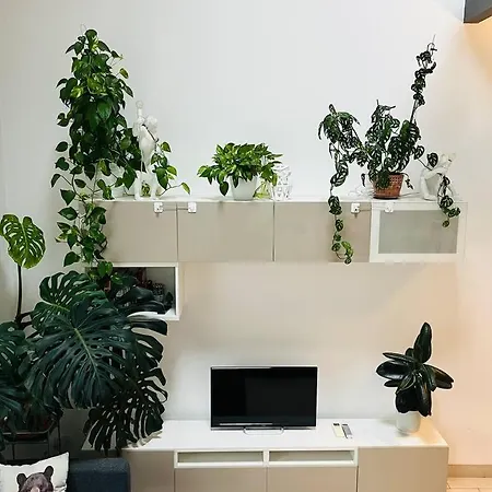 Loft *